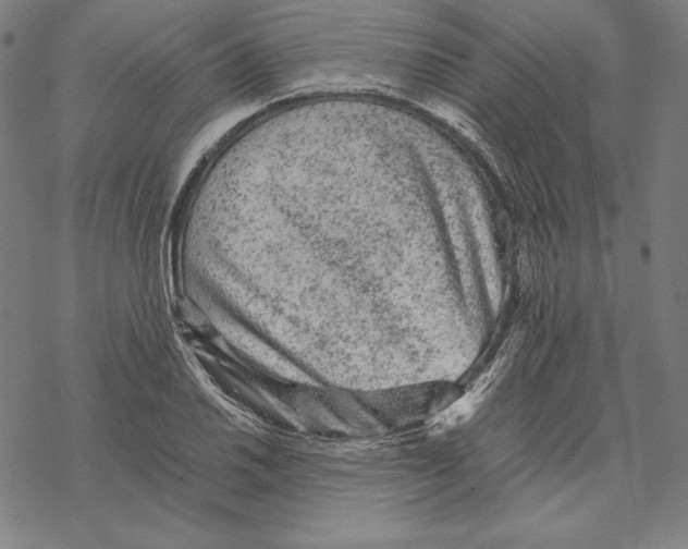 X0000067851030200605111703