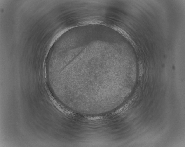 X0000067851031200605111703