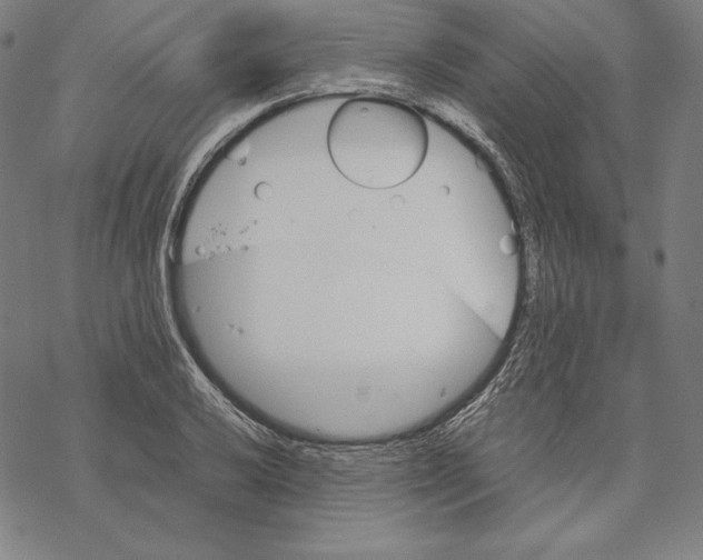 X0000067851032200605111703