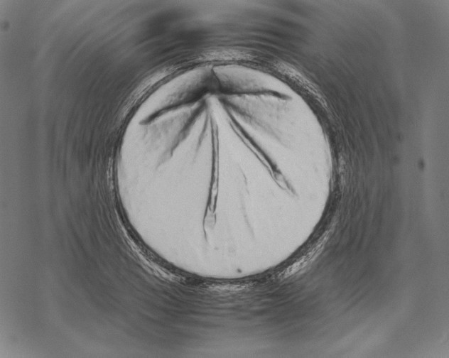 X0000067851033200605111703