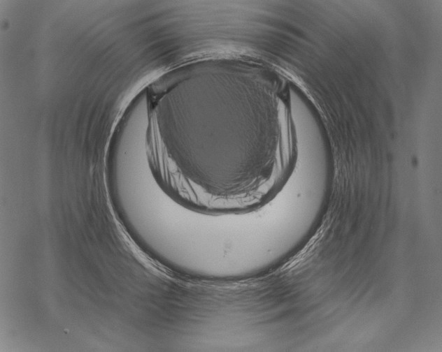 X0000067851034200605111703