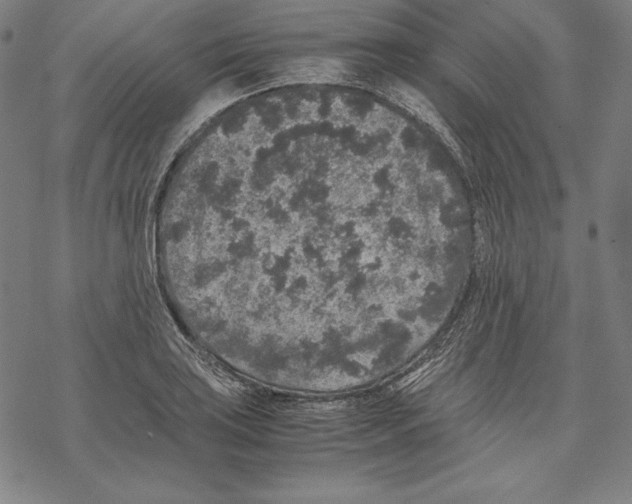 X0000067851035200605111703