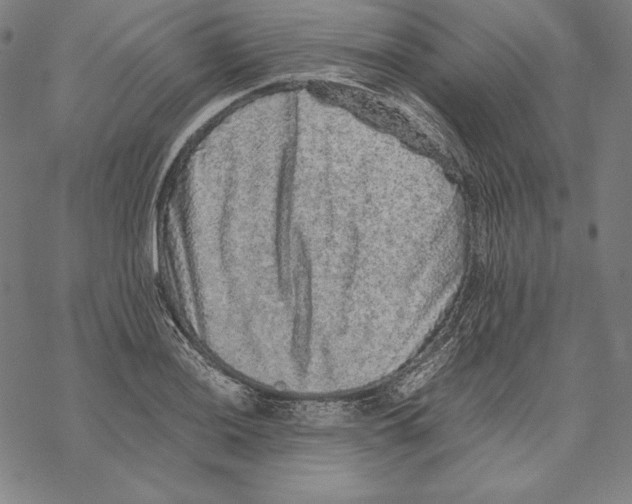 X0000067851036200605111703