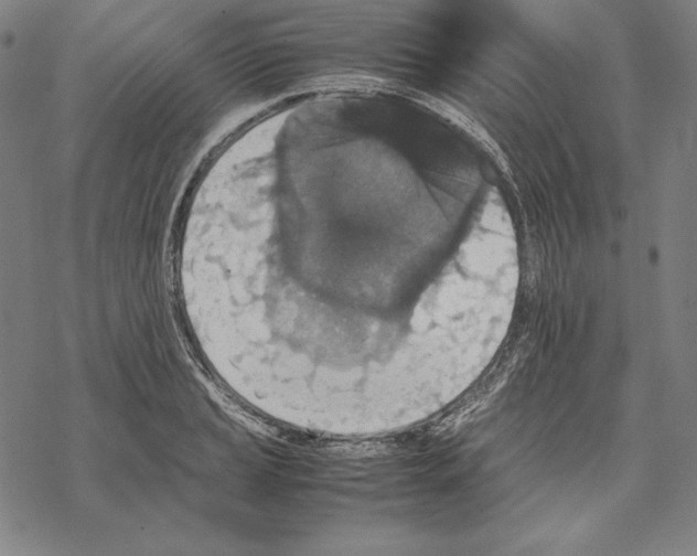 X0000067851037200605111703