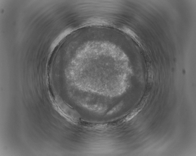 X0000067851038200605111703