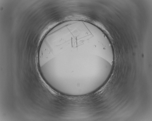 X0000067851040200605111703