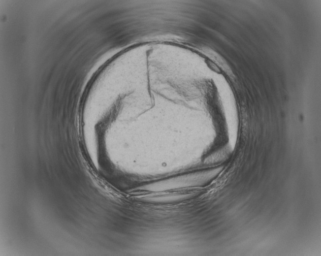 X0000067851044200605111703