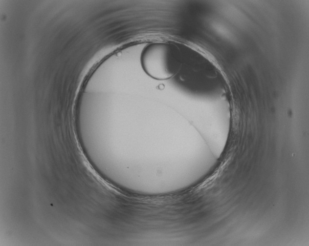 X0000067851045200605111703