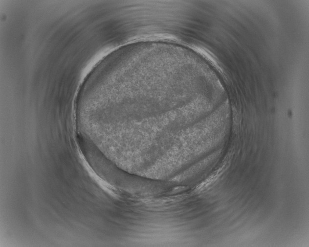 X0000067851046200605111703