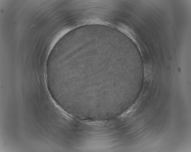 X0000067851048200605111703