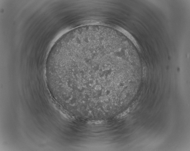 X0000067851051200605111703