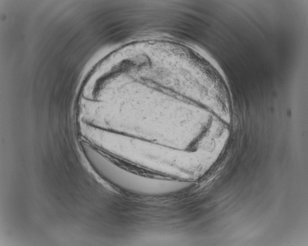 X0000067851053200605111703