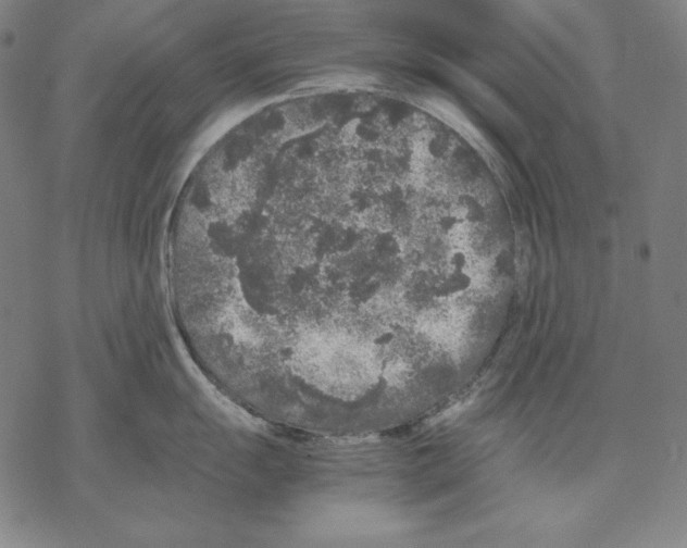 X0000067851055200605111703