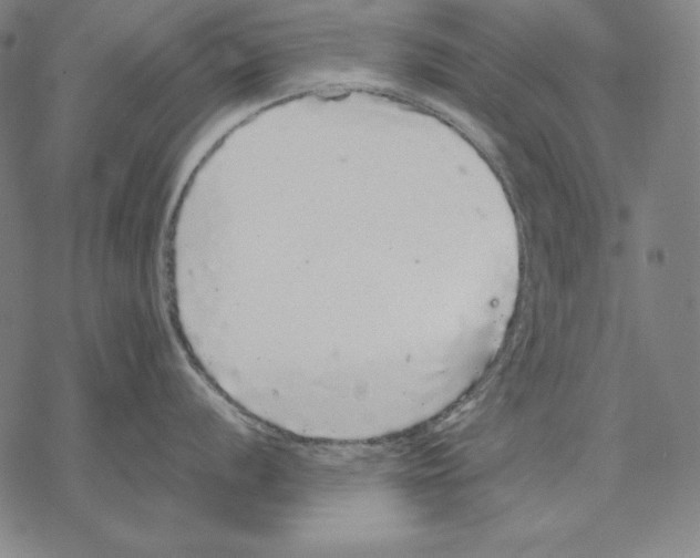 X0000067851056200605111703