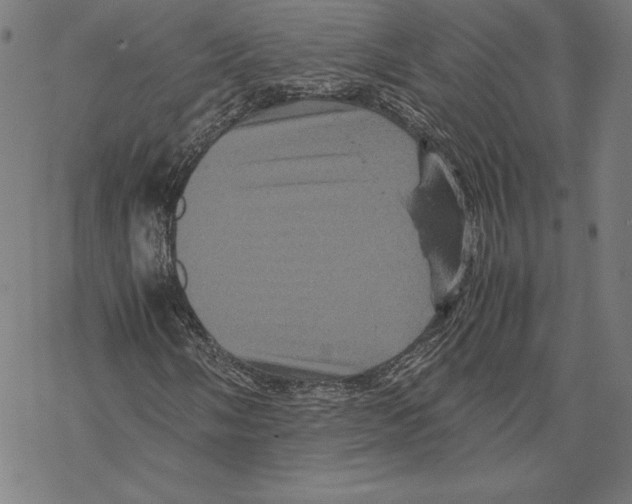 X0000067851058200605111702