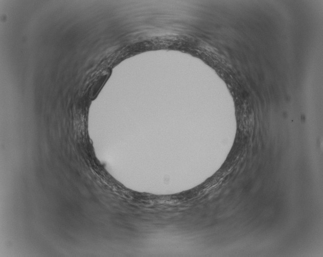 X0000067851061200605111702