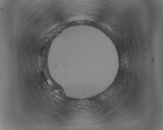 X0000067851062200605111702