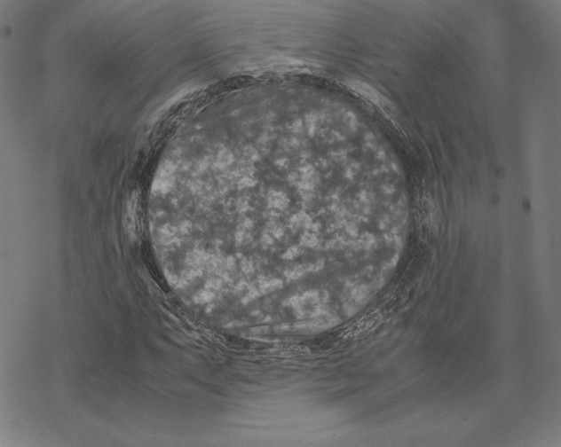 X0000067851063200605111702