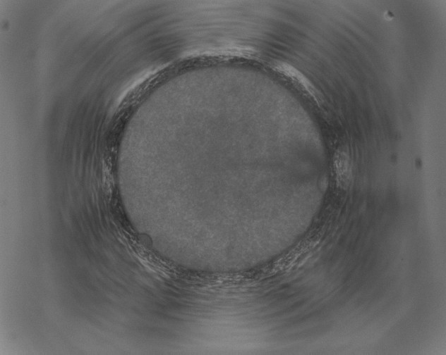 X0000067851064200605111702