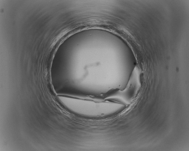 X0000067851065200605111702