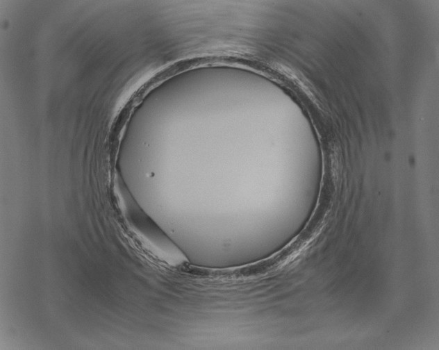 X0000067851069200605111702