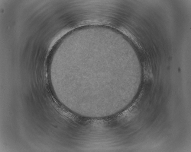 X0000067851070200605111702