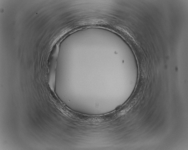 X0000067851073200605111702