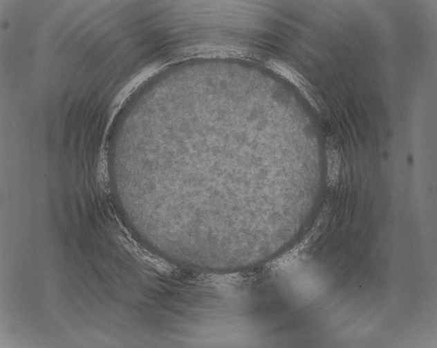 X0000067851074200605111702