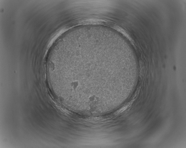 X0000067851075200605111702