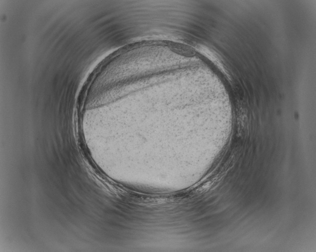 X0000067851076200605111702