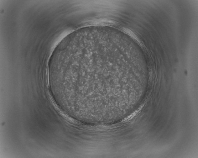 X0000067851079200605111702