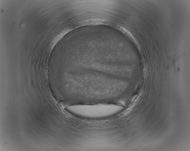 X0000067851081200605111702