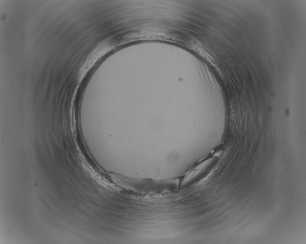 X0000067851082200605111702