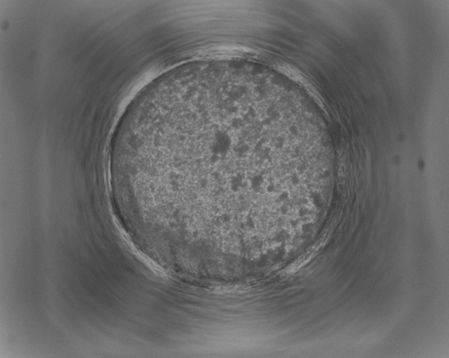 X0000067851083200605111702