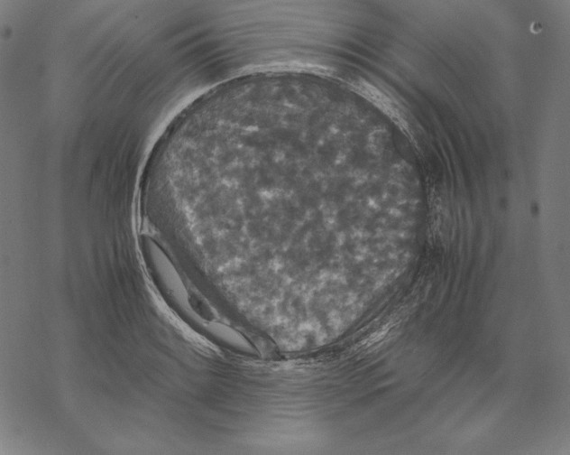 X0000067851084200605111702