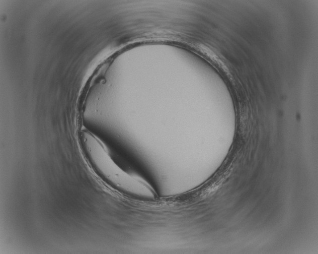 X0000067851085200605111702