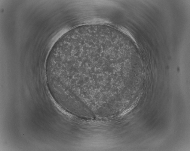 X0000067851087200605111702