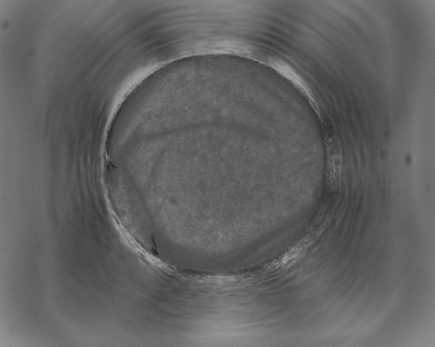 X0000067851088200605111702