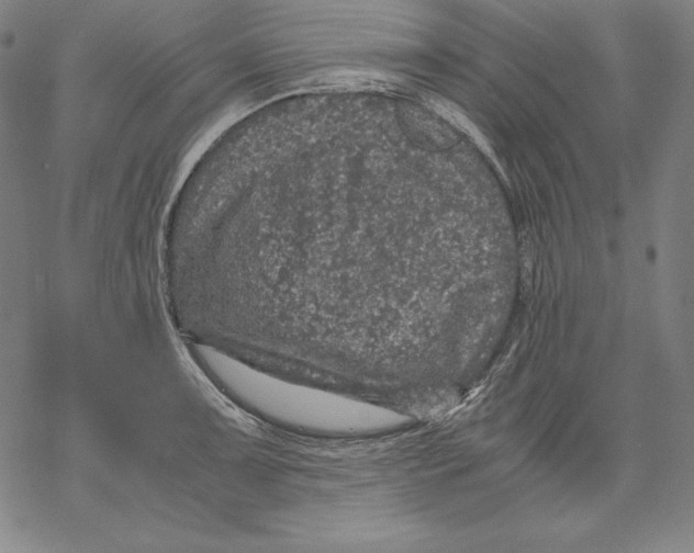 X0000067851091200605111702