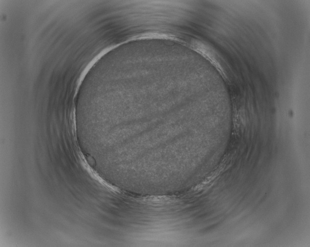 X0000067851092200605111702