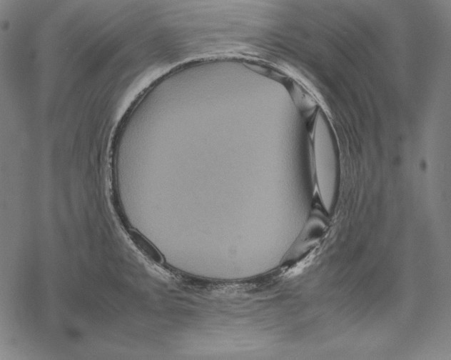 X0000067851093200605111702