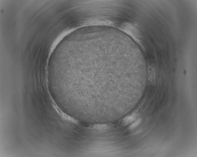 X0000067851094200605111702