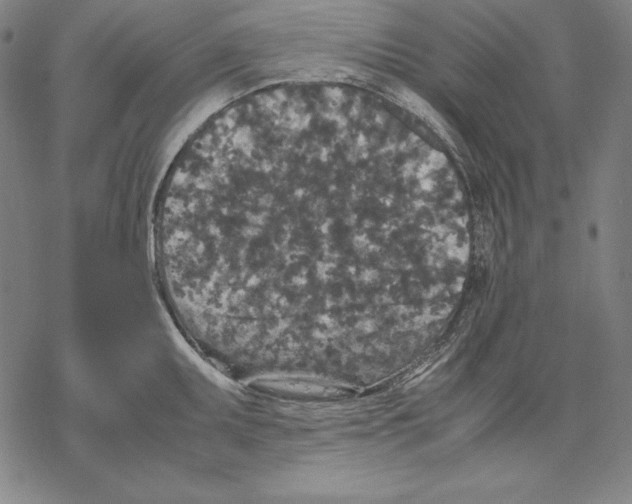 X0000067851095200605111702