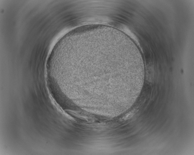 X0000067851096200605111702