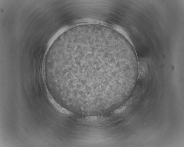 X0000067851098200605111702