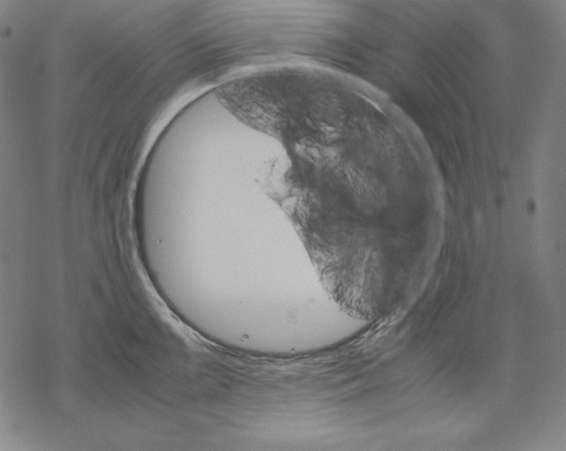 X0000067851099200605111702