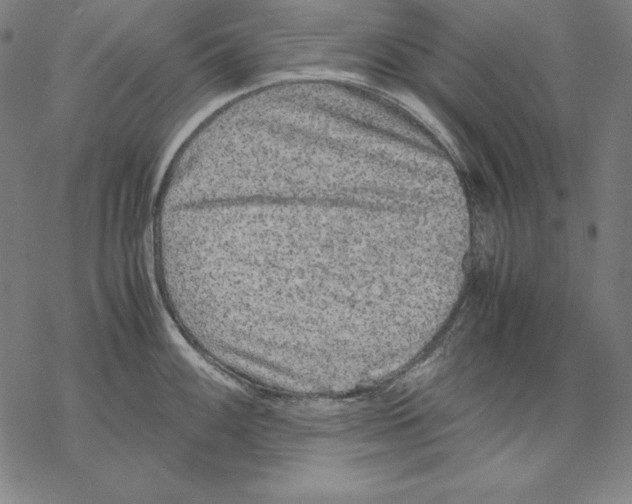 X0000067851100200605111702