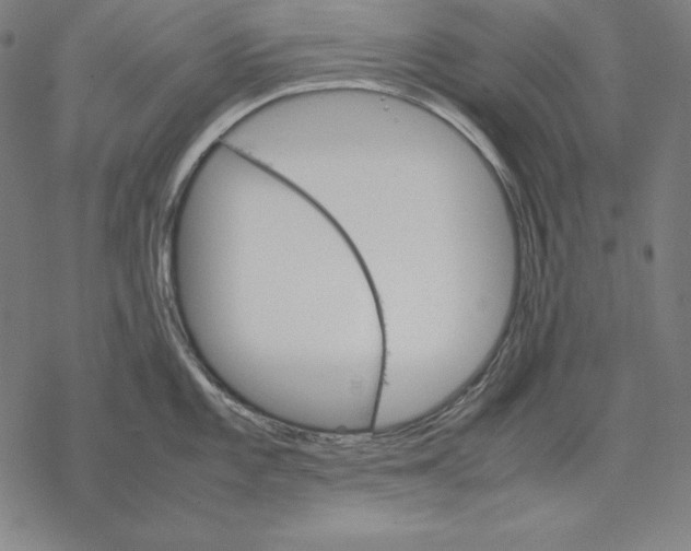 X0000067851101200605111702