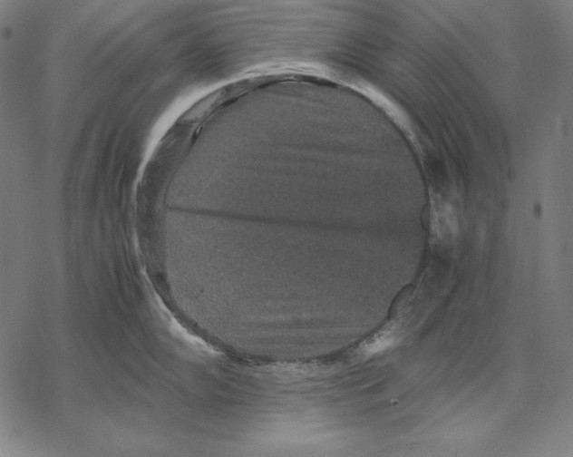 X0000067851102200605111702