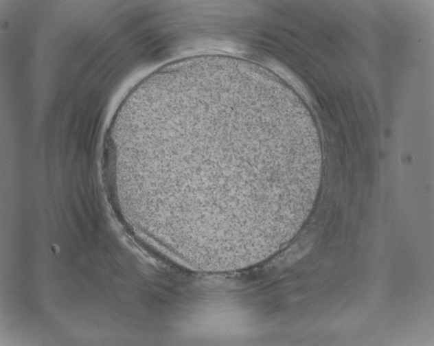 X0000067851104200605111702